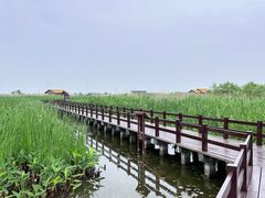 -宁波杭州湾国家湿地公园