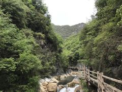 -郧西五龙河风景区
