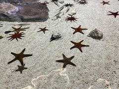 -福州罗源湾海洋世界旅游区