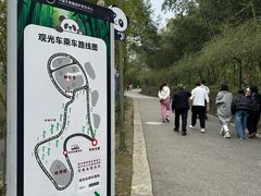 -都江堰中华大熊猫苑