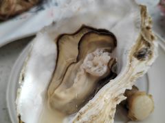 -鼓歌海鲜舫·手抓海鲜(大学城店)
