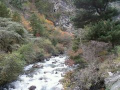 -硗碛藏寨·神木垒景区