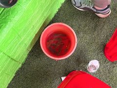 -会江钓鱼钓虾烧烤场