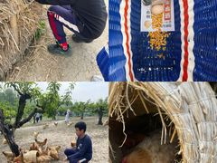 -乌村