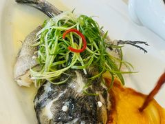 清蒸龙趸鱼-唐宫·粤菜海鲜(万象城店)