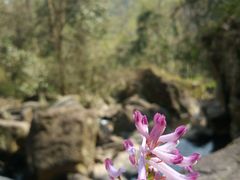 -溪口-滕头旅游景区