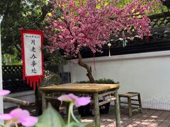 -杭州黄龙洞