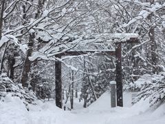 -北海道神宫