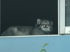 -青藏高原野生动物园