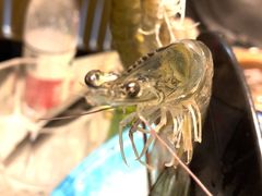 -享月汤皇·海鲜小火锅·聚会(曲江创意谷店)