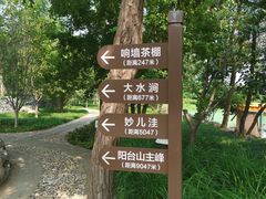 -阳台山自然风景区