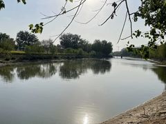 -天津武清北运河郊野公园房车露营地