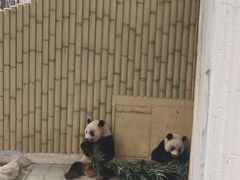-太原动物园
