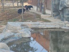 -太原动物园