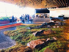 -Seesaw Coffee(朝阳大悦城店)