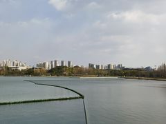-尚贤河湿地