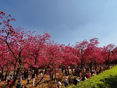 -昆明动物园