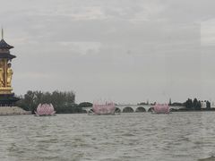 -溱湖国家湿地公园