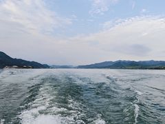 -河口景区