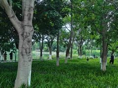-升仙湖公园