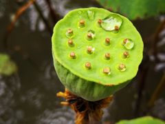 -渭南桃花源民俗文化园