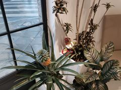 -Fridi Patisserie Cafe