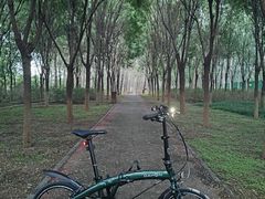 -美利达自行车(天通西苑一区店)