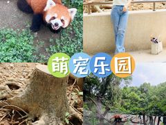 -杭州少年儿童公园