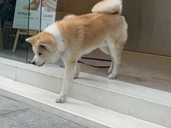 -YCHL Studios健身工作室(市二宫店)