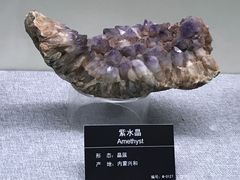 紫水晶-甘肃地质博物馆