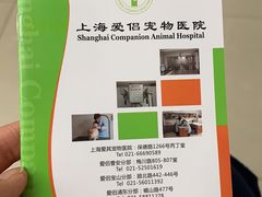 -爱侣宠医·鹦鹉专科·小型哺乳类·异宠专科(灵石路店)