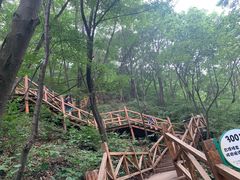 -大岭沟猕猴桃谷风景区