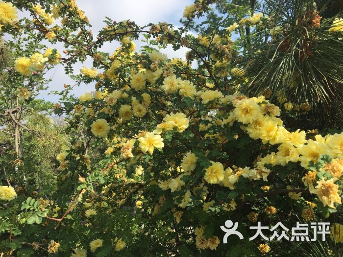 禽鸣苑图片 - 第1张