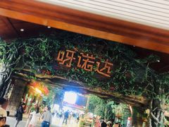 -呀诺达热带雨林