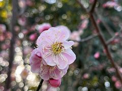 -颐和园