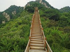 -大岭沟猕猴桃谷风景区