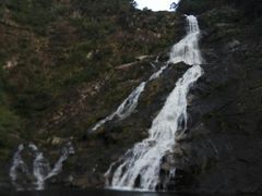 -海南热带雨林国家公园吊罗山景区
