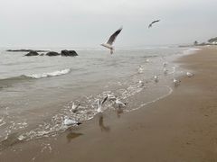 -老虎石海上公园