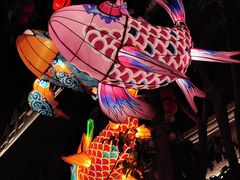 -阿芬卤面(花巷店)