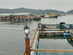 -海上驿站渔家菜馆