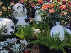 -国家植物园