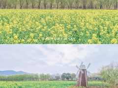 -长兴太湖图影湿地文化园