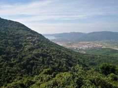 -三亚亚龙湾人间天堂鸟巢度假村