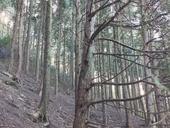 -含鄱口