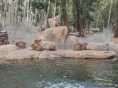 -北京野生动物园