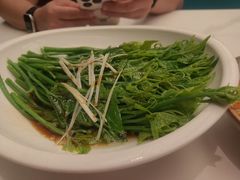 云南佛手瓜尖-七号湘(南湖路店)