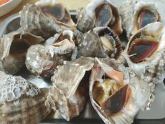 海螺-济南海鲜大市场