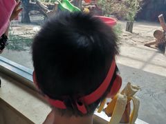 -石家庄市动物园