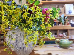 -今日陶艺(富力广场店)