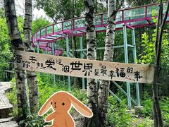 -帽儿山风景区
